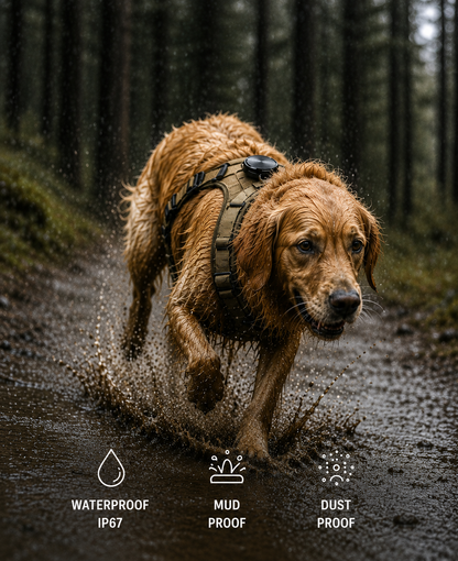 WildTag - Smart Dog Tracker