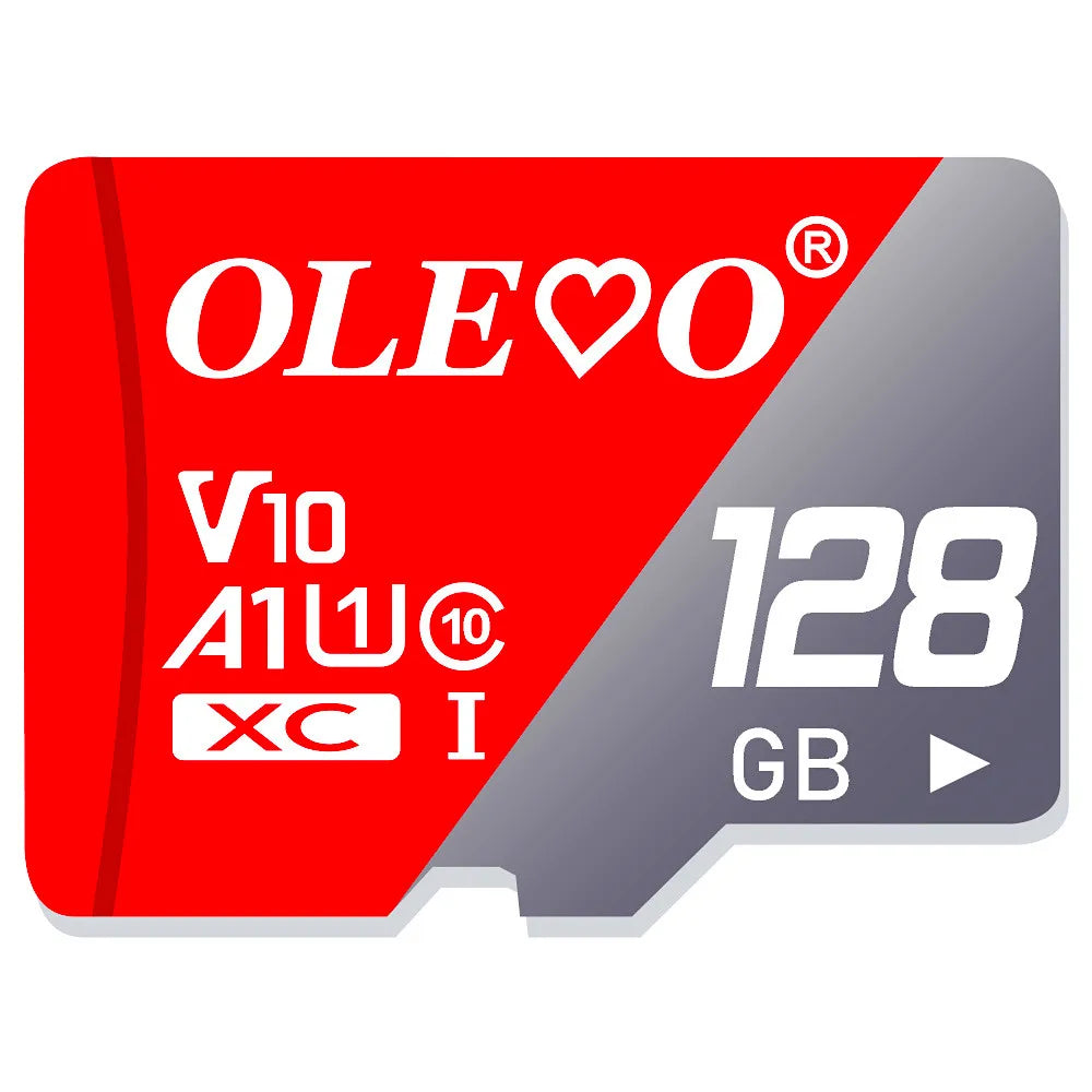 WildStorage – Adventure Memory Card